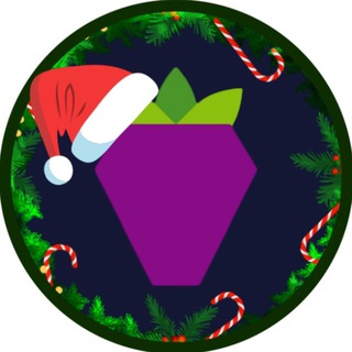 Telegram profile photo for Berry Data
