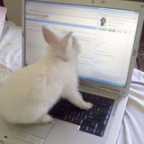 Telegram profile photo for WwwWWwWwwWwwWWWWWWwwwwww