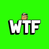 Telegram profile photo for WeTheFuture Asia