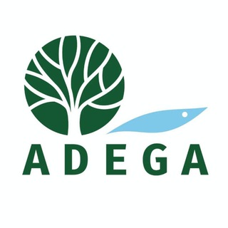 Telegram profile photo for ADEGA🌳🐟🌊