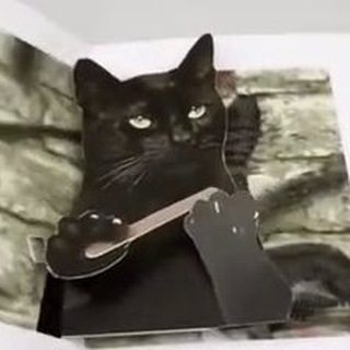Telegram profile photo for вЕтОмЕм