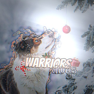 Telegram profile photo for warriors dog's