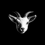 Telegram profile photo for skāz.png