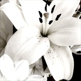 Telegram profile photo for files