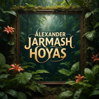 Telegram profile photo for Alexander Jarmash (hoyas) 🌺