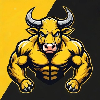 Telegram profile photo for VividBulls