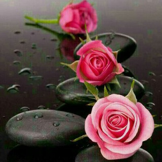 Telegram profile photo for سرای مهر و شعر و ادبیات
