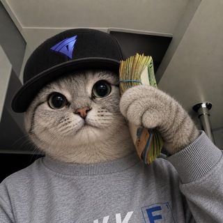 Telegram profile photo for cryo devlogs