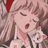 Telegram profile photo for 代开会员~喵 电报拉人~电报增粉~克隆群组~会员账号