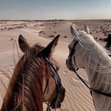 Telegram profile photo for арабские цитаты))