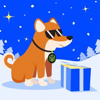 Telegram profile photo for Muhtar