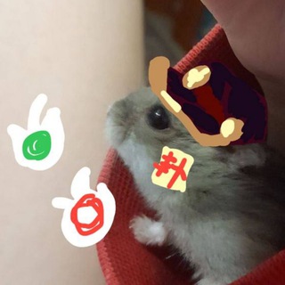 Telegram profile photo for домик хомяка-химика