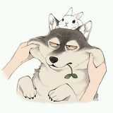 Telegram profile photo for 旺旺铺子