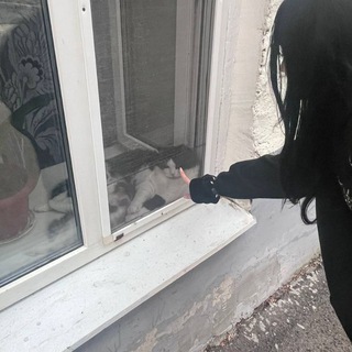 Telegram profile photo for ляпа
