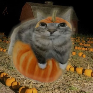 Telegram profile photo for pumpkins go!