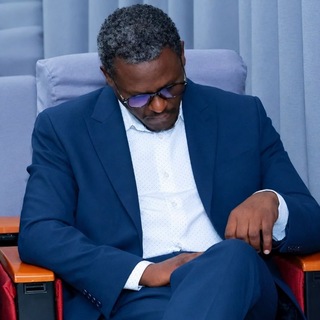 Telegram profile photo for The Ethiopian Economist View