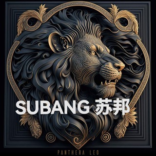 Telegram profile photo for Subang2