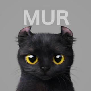 Telegram profile photo for Мурчатик
