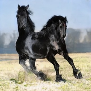 Telegram profile photo for Нейросети и нытьё