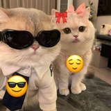 Telegram profile photo for 😂جوک های خنده دار،موزیک باحال، متن های رمانتیک،