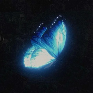 Telegram profile photo for ʜʏᴘᴏᴍᴀɴɪᴀ