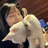 Telegram profile photo for coop