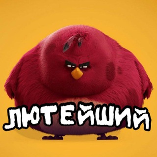 Telegram group profile photo for ЛЮТЕЙШИЙ ПИАР-ЧАТ🦅