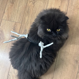 Telegram profile photo for Барахолка Любая Чушь