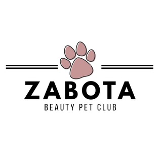 Telegram profile photo for Zabota