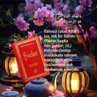 Telegram profile photo for Şuâlar Dersleri (Yusuf Selami Hoca)