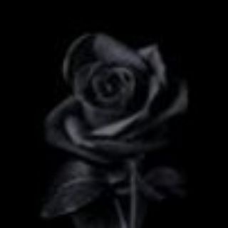 Telegram profile photo for Bir şizofrenin günlüğü 🛜