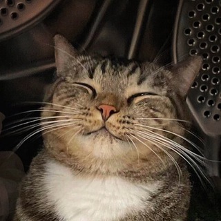 Telegram profile photo for kittyyyyyyyyyyyyy