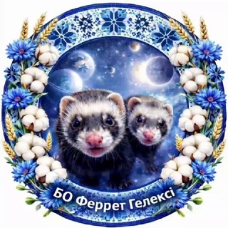 Telegram profile photo for 🐾Феррет Гелексі🐾