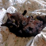 Telegram profile photo for мой канал