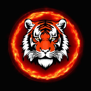 Telegram profile photo for Livadia_prim Пянсе 18+ | Приморье | Владивосток ДТП ДПС Live новости Знакомимся Владивосток Купить кваритру машину дом дачу авто