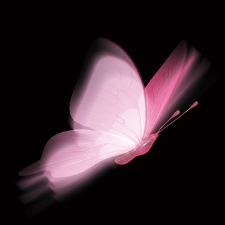 Telegram profile photo for #Немера