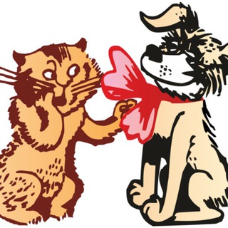 Telegram profile photo for Кот и Пес