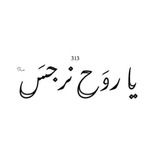 Telegram profile photo for إمـل الظَـهورِ 𝟑𝟏𝟑