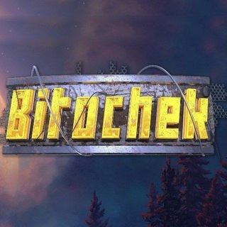 Telegram profile photo for BitochekTeam
