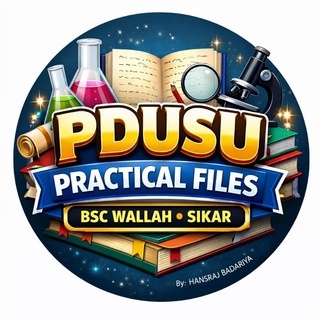 Telegram profile photo for PDUSU PRACTICAL FILES