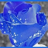 Telegram profile photo for Bir hovuch olam