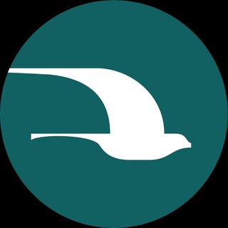 Telegram profile photo for Musaffo Turizm rasmiy kanali