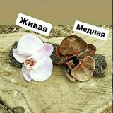 Telegram profile photo for ЭКСКЛЮЗИВЧИК