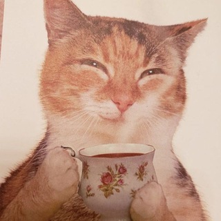 Telegram profile photo for aksi