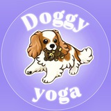 Telegram profile photo for Doggy yoga