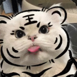 Telegram profile photo for 小果冻是白虎