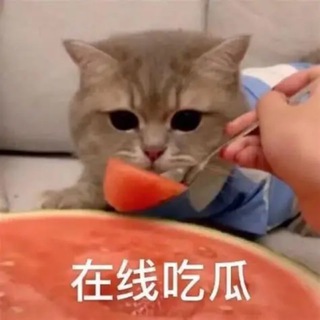 Telegram profile photo for 东南亚国内吃瓜(东南亚曝光)