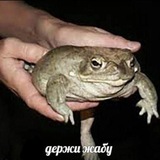 Telegram profile photo for Мешок Гречки