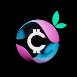 Telegram profile photo for 🍊 Crypto Orange 🍊NFT | Games| CHANEL