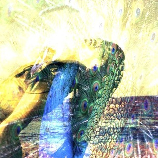 Telegram profile photo for #БольшеНеЛечит